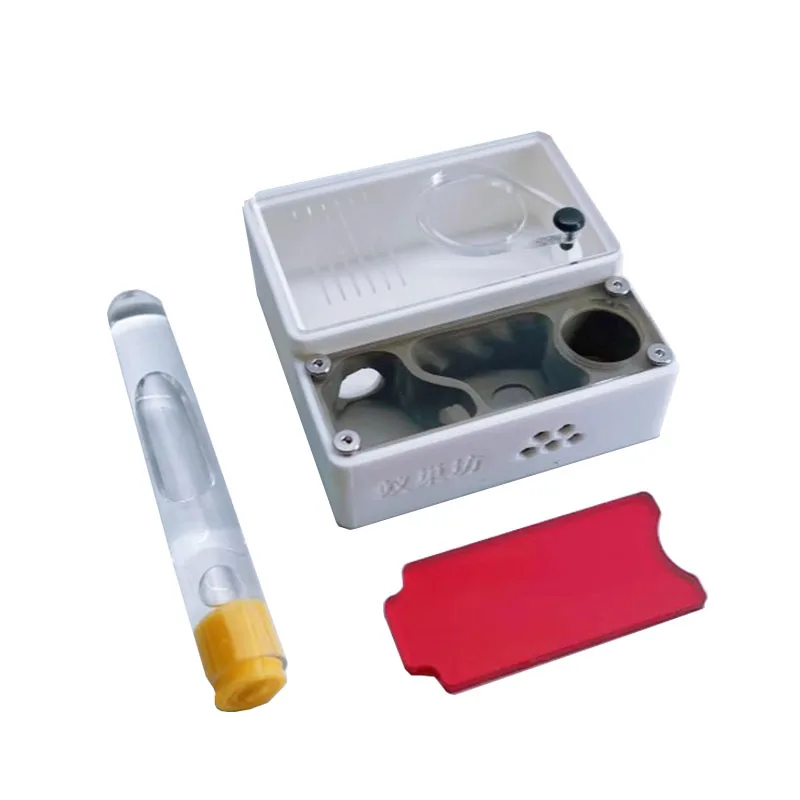 Begonia Rex - 3D Printed Ant Farm queen ant's