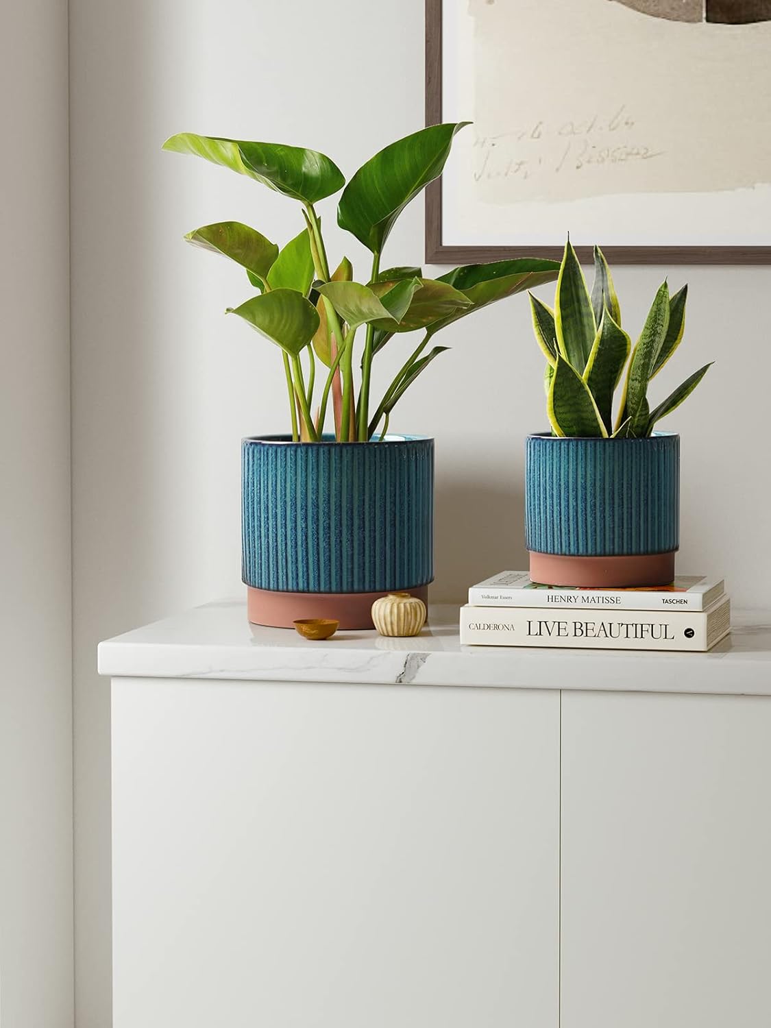 Set of 3 Ceramic Plant Pots wi - огляд і ціна Aloe Vera Pot