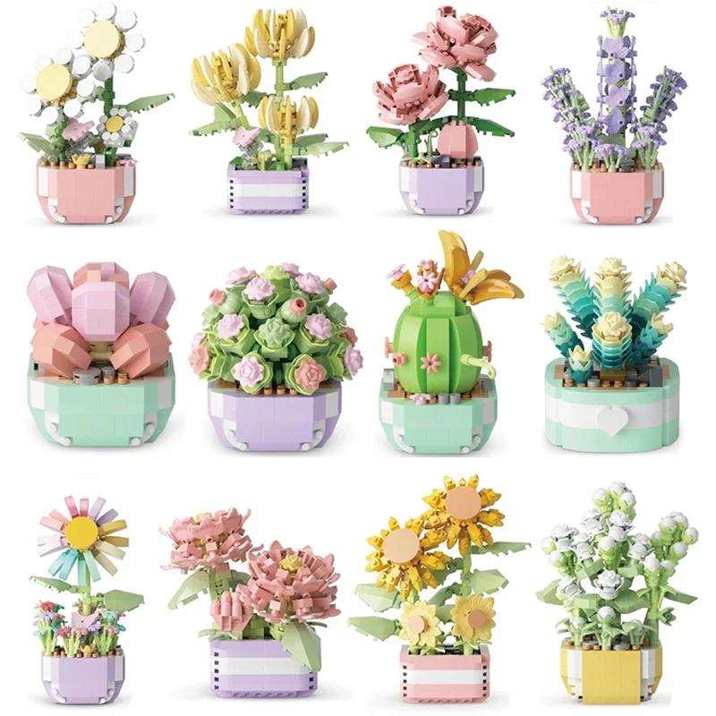 Flower Succulents Building Blo - огляд і ціна Echeveria Succulent