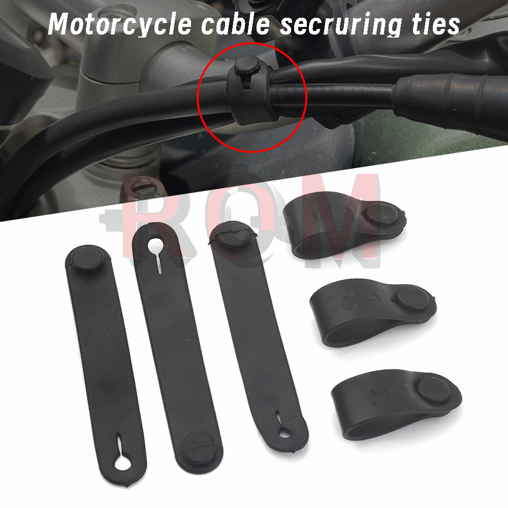 For Ducati Monster Multistrada - огляд і ціна Monstera Adansonii
