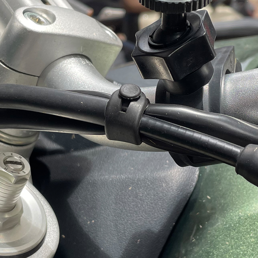 For Ducati Monster Multistrada - огляд і ціна Monstera Adansonii