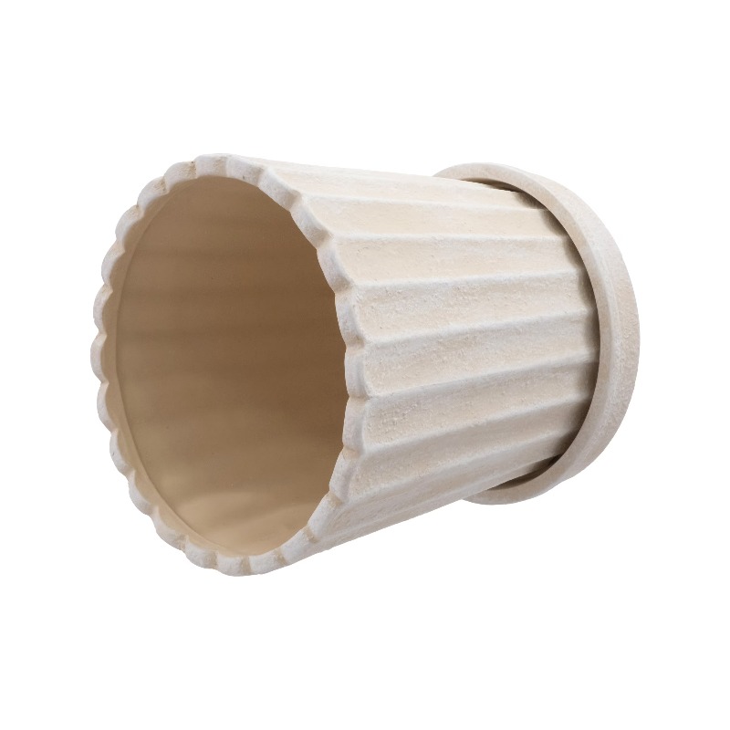 8 Inch Shell Planter Cream Cer - огляд і ціна Aloe Vera Pot