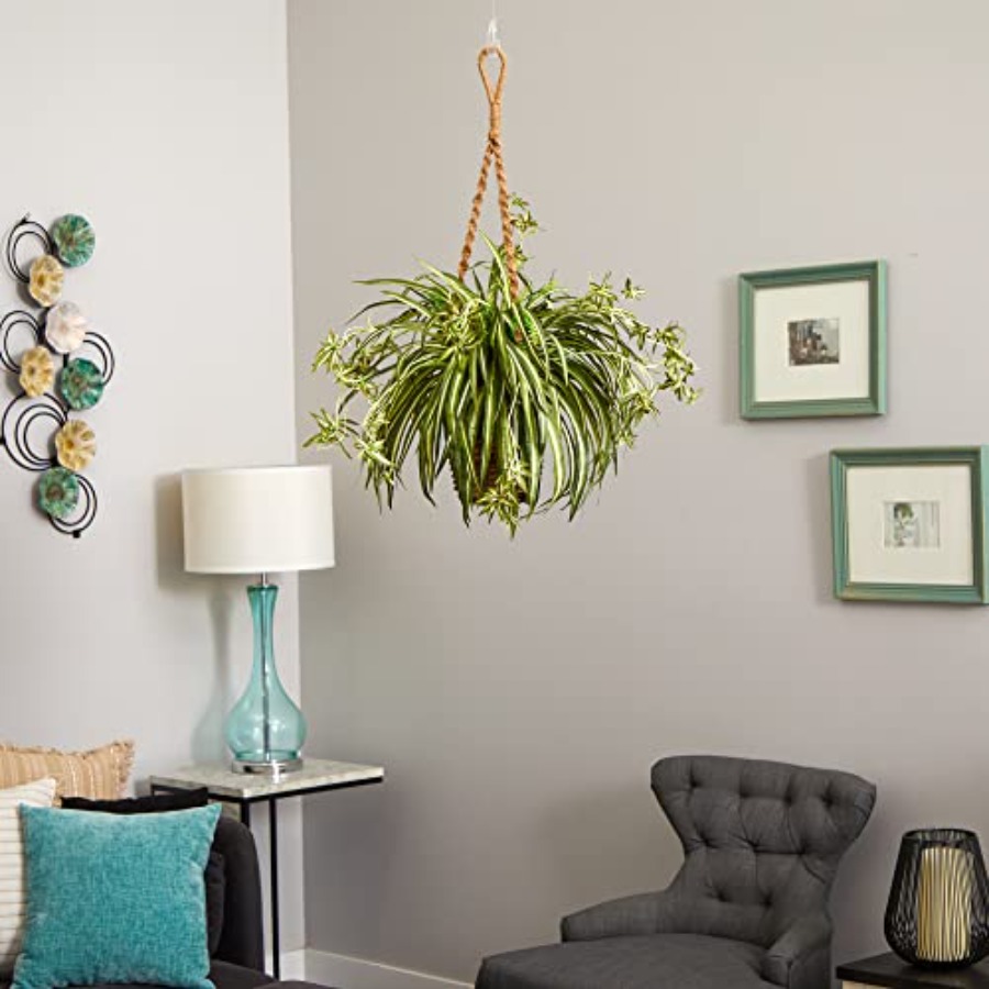 Spider Plant Hanging Basket fo - огляд і ціна Spider Plant Hanging