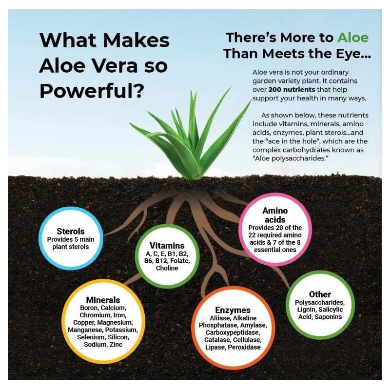 Aloe Vera Capsules - Help Prom - огляд і ціна Aloe Vera Pot