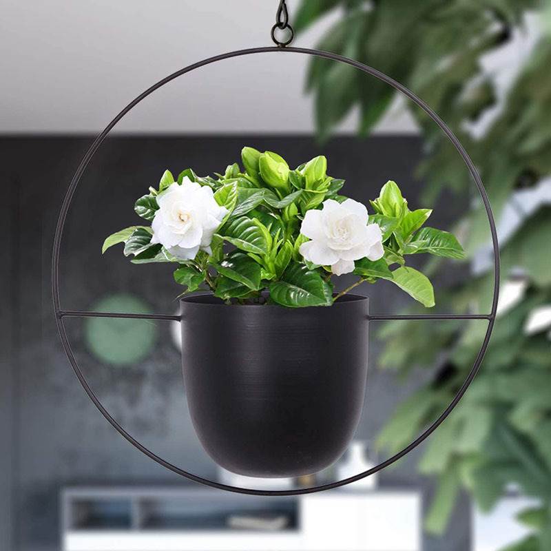 Hanging Iron Art Plant Pots Ba - огляд і ціна Spider Plant Hanging