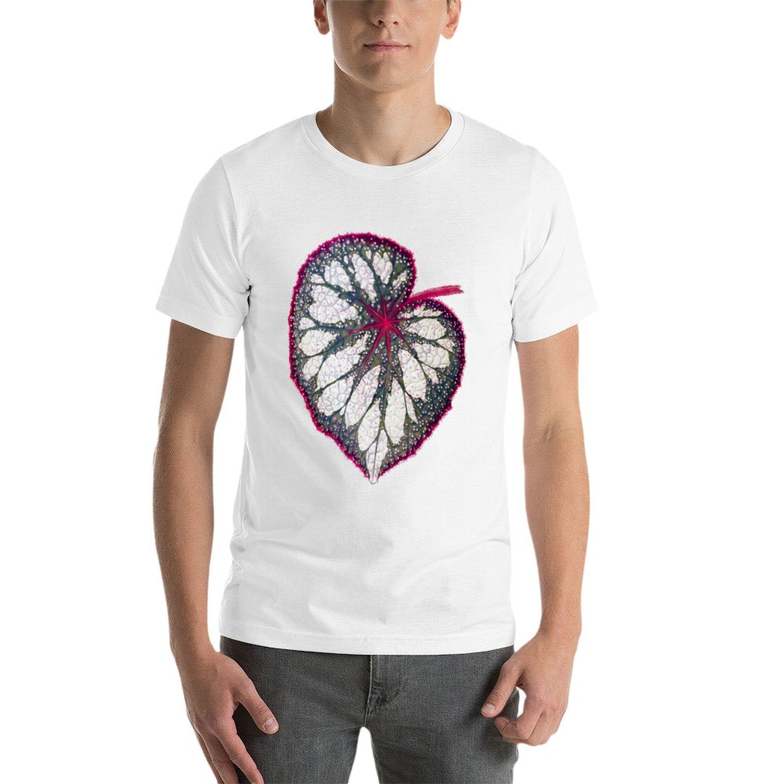Begonia rex T-Shirt man graphi - огляд і ціна Begonia Rex