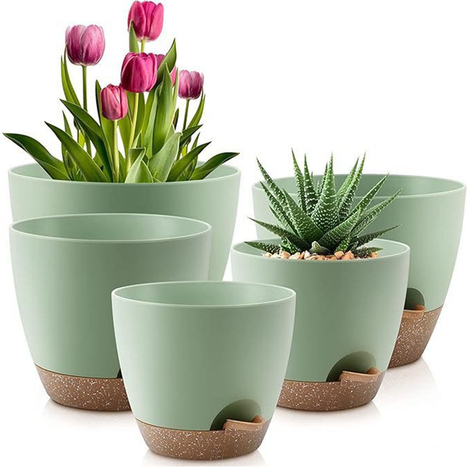 5piece Indoor Flower Pots With - огляд і ціна Aloe Vera Pot