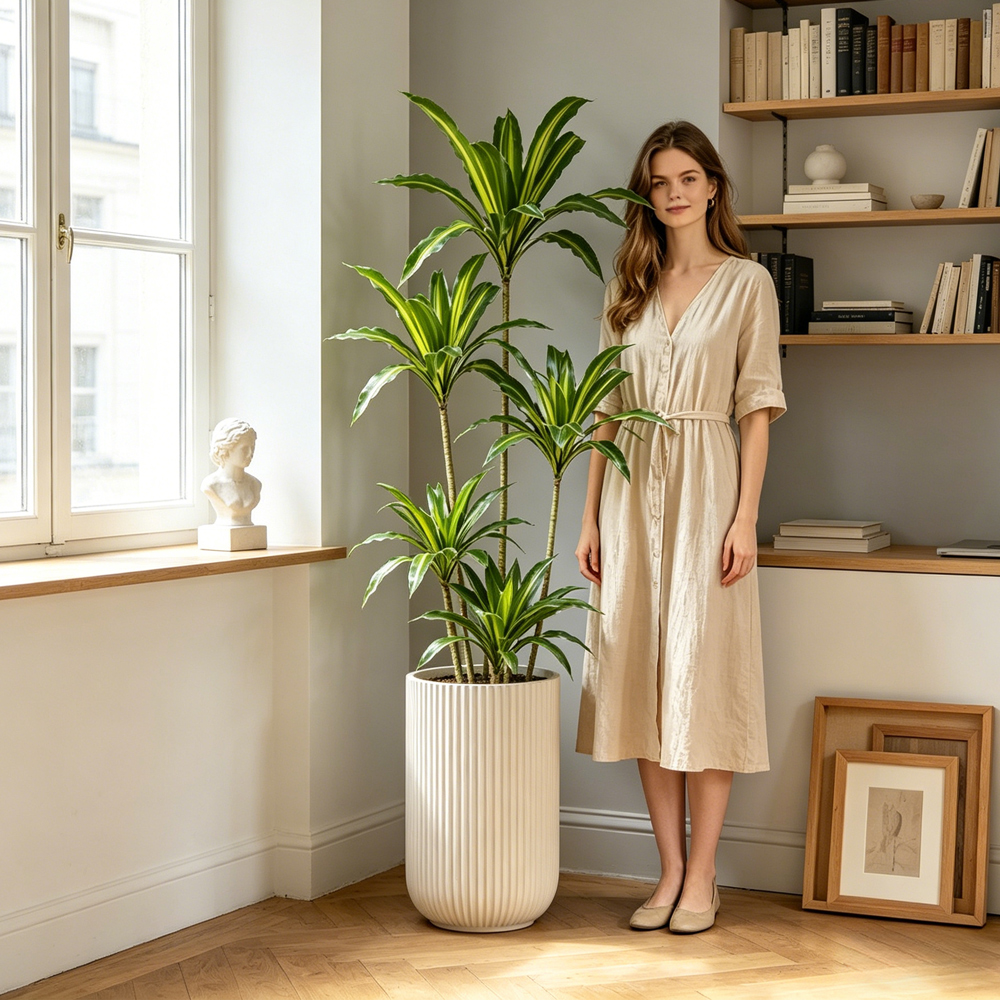 80-165cm Large Artifcial Draca - огляд і ціна Dracaena Marginata