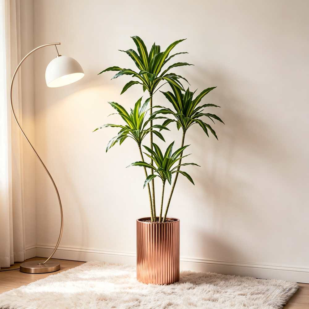80-165cm Large Artifcial Draca - огляд і ціна Dracaena Marginata