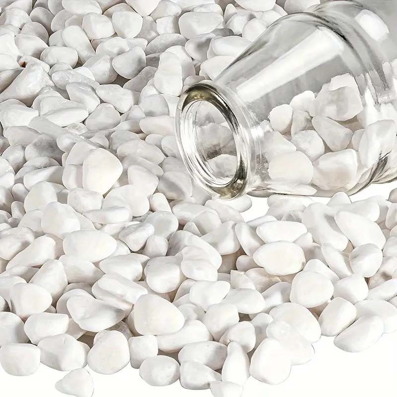 White Pebbles Decorative Stone - огляд і ціна Echeveria Succulent