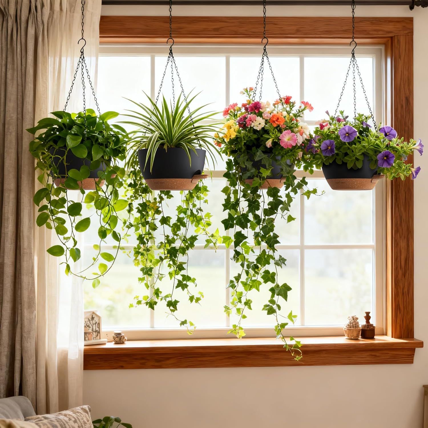 Self Watering Hanging Planters - огляд і ціна Spider Plant Hanging