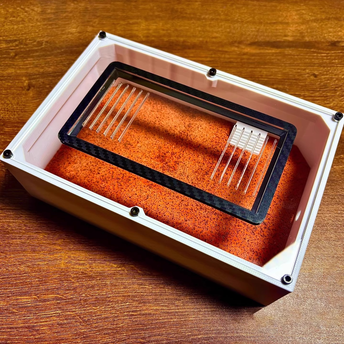 Ant Farm mini CC with External - огляд і ціна Begonia Rex