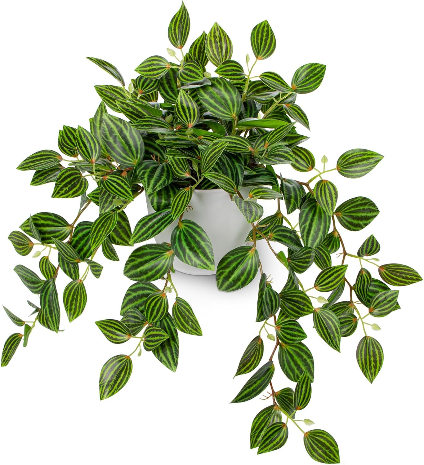 Artificial Plants Indoor Fake  - огляд і ціна Peperomia Watermelon