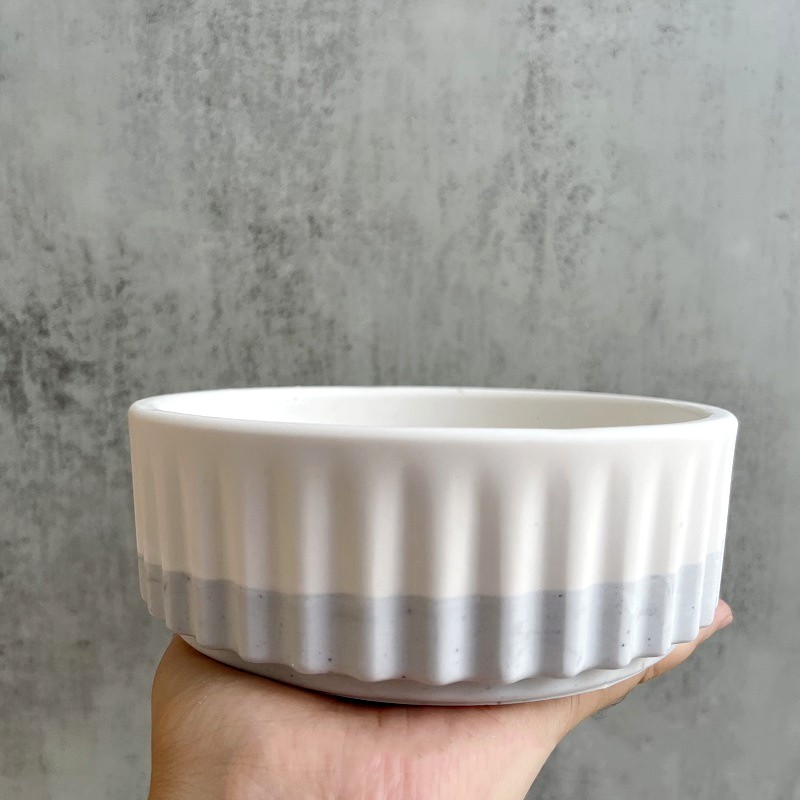 Stripe Flowerpot Silicone Mold - огляд і ціна Echeveria Succulent