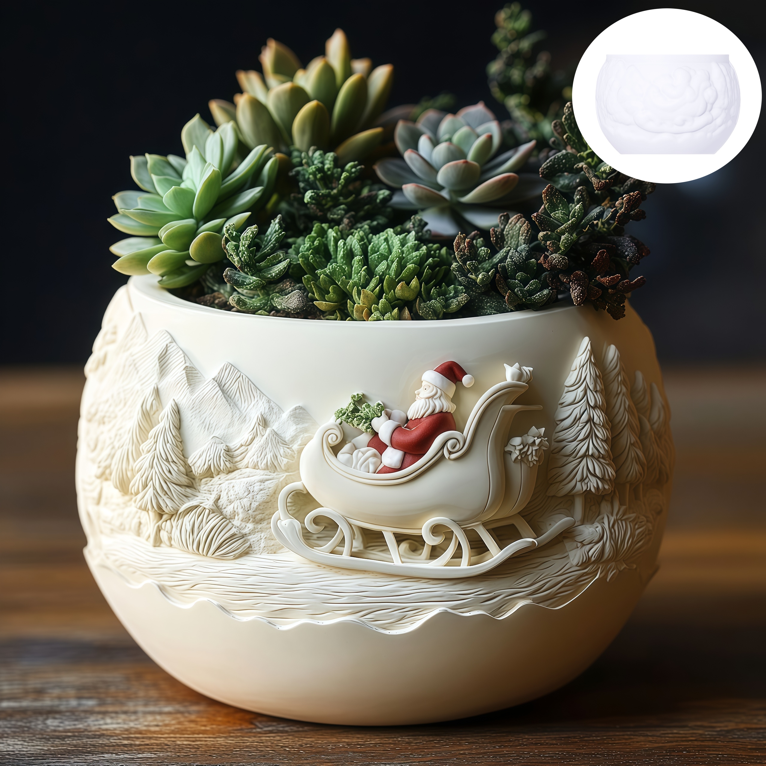 Cedar Sled Santa Claus Relief  - огляд і ціна Echeveria Succulent