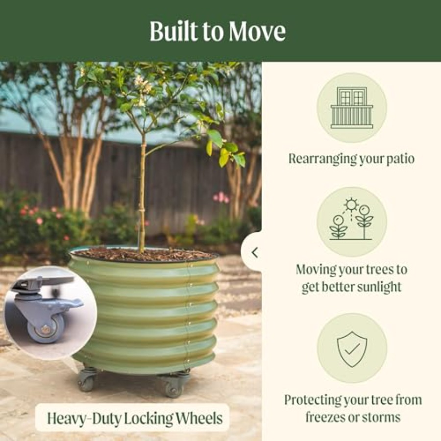 Self-Watering Rolling Metal Ci - огляд і ціна Aloe Vera Pot